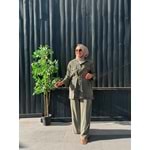 HAKİ YEŞİLİ